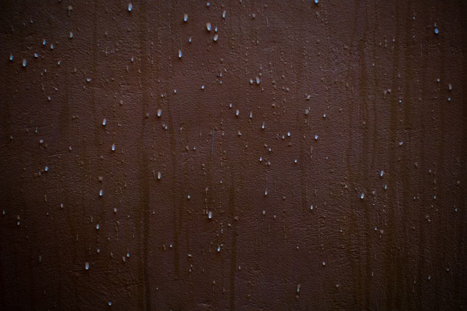 Humidade e infiltrações: detetar o problema antes de comprar