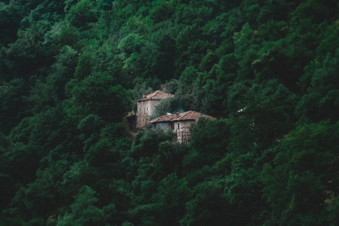 Casa perto da floresta: a faixa de 50 metros que a lei obriga a limpar