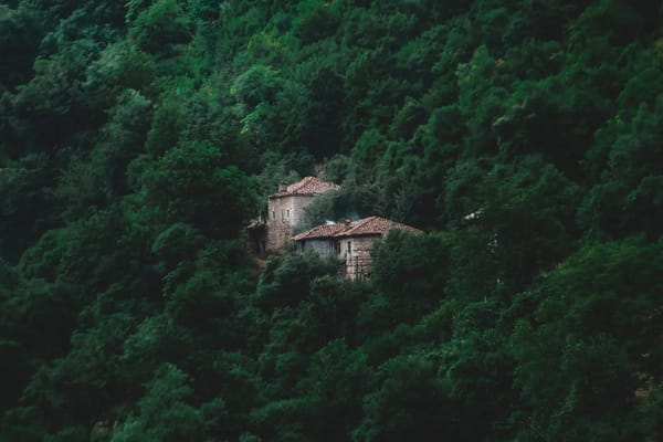 Casa perto da floresta: a faixa de 50 metros que a lei obriga a limpar